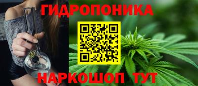 твердый Заводоуковск